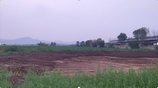 山东泰安岱岳区污染监管缘何处处有“盲点”？